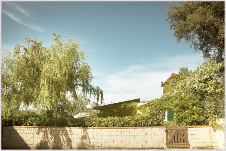 Bio Agriturismo Costa Etrusca | Salice