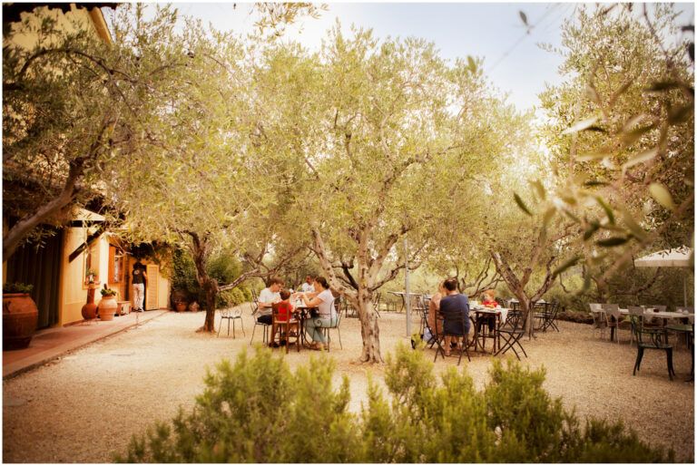 Bio Agriturismo Costa Etrusca | La Colazione