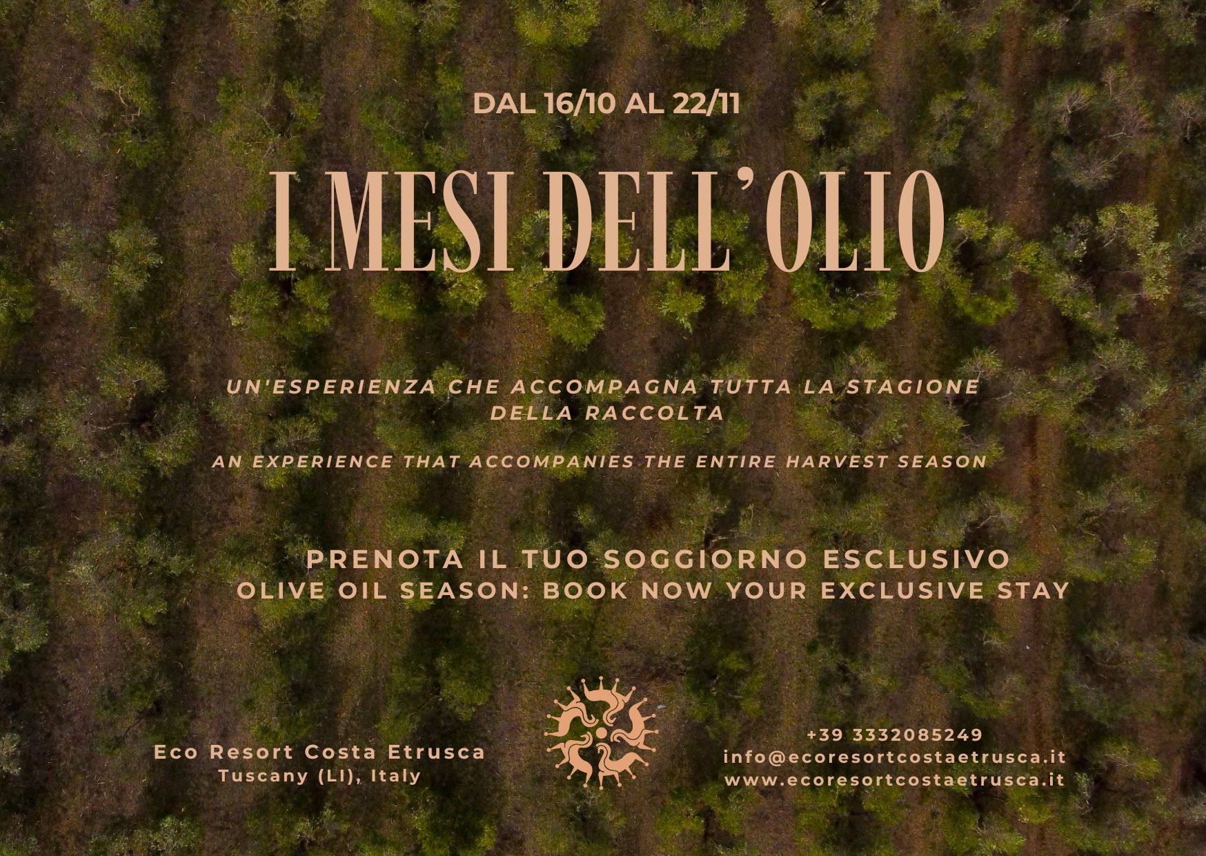 I mesi dell’Olio